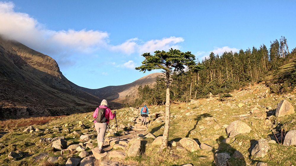 Avante Video Above The Trees - Hiking