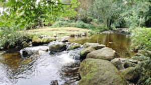 Fairy Glen River Rostrevor