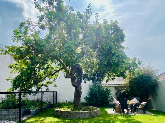 Bramley House Garden