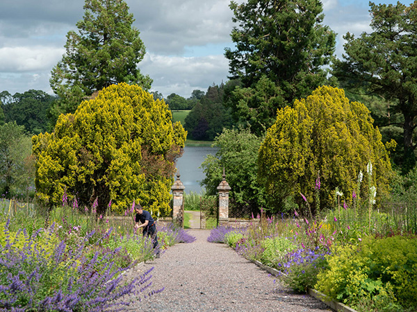 Castle Leslie Activities