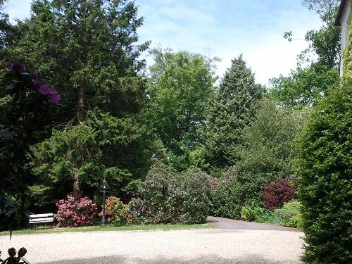 Newforge Guesthouse Garden